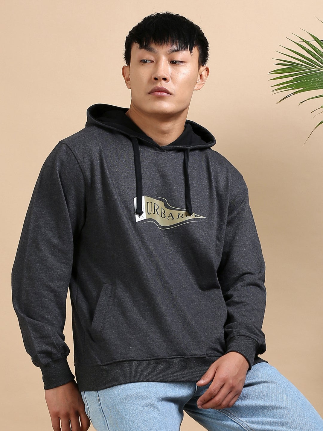 Titan Ash grey hoodie